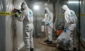 Mold remediation services in Santa Clarita, CA for water damage restoration experts